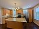 1820 N Paulina Unit 3, Chicago, IL 60622