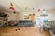 1107 E Algonquin Unit 19, Arlington Heights, IL 60005