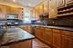 7018 S Paxton Unit 3N, Chicago, IL 60649