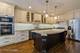 1302 N Bosworth Unit 1, Chicago, IL 60642