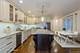 1302 N Bosworth Unit 1, Chicago, IL 60642