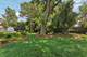 217 S Park, Glen Ellyn, IL 60137