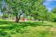 8740 W 161st, Orland Park, IL 60462
