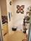 2275 Country Club Unit 23, Woodridge, IL 60517