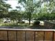 505 Redondo Unit 212, Downers Grove, IL 60516