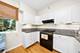 1036 Susan Collins, Oak Park, IL 60302