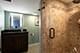 7232 W Everell, Chicago, IL 60631