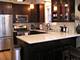 2742 N Bosworth Unit 3, Chicago, IL 60614