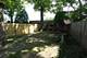 419 Greenleaf, Wilmette, IL 60091
