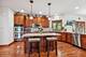 9265 Maura, Frankfort, IL 60423