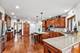 9265 Maura, Frankfort, IL 60423