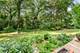 31W139 Rohrssen, Elgin, IL 60120