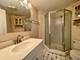 511 Aurora Unit 510, Naperville, IL 60540