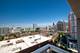1901 S Calumet Unit 1311, Chicago, IL 60616
