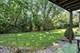 11315 Sycamore Unit B, Palos Hills, IL 60465