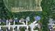 15328 Sharon, Homer Glen, IL 60491