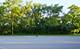 919 Maple, Lisle, IL 60532