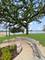 30 N Holly, Fox Lake, IL 60020