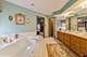 11136 Woodstock, Orland Park, IL 60467