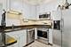1111 S Wabash Unit 1305, Chicago, IL 60605