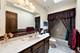 15631 Harbor Town, Orland Park, IL 60462