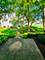 2944 White Thorn, Naperville, IL 60564