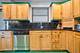 1928 Kennicott, Des Plaines, IL 60018