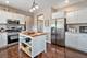 17642 Crystal Lake, Homer Glen, IL 60491