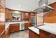 1702 Winthrop, Schaumburg, IL 60193
