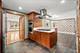 1702 Winthrop, Schaumburg, IL 60193