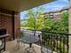 11 S Wille Unit 201, Mount Prospect, IL 60056