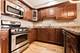 4137 S Prairie Unit 1S, Chicago, IL 60653