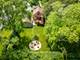 1337 Degener, Elmhurst, IL 60126