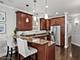 1541 W Montana Unit 2, Chicago, IL 60614