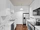 855 E Drexel Unit 1B, Chicago, IL 60615