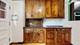 225 N Grove Unit 2, Oak Park, IL 60302