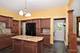 331 Griswold, Elgin, IL 60123
