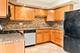 1103 Holiday Unit 13, Des Plaines, IL 60016