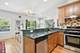 3910 N Kolmar, Chicago, IL 60641