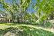 403 Dalton, Mundelein, IL 60060