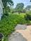2411 31st, Zion, IL 60099