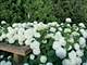 780 Highland, Highland Park, IL 60035