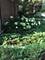 780 Highland, Highland Park, IL 60035