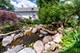 126 S Lewis, Lombard, IL 60148
