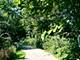 27W229 Providence, Winfield, IL 60190