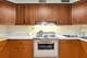 7105 W Foster Unit 1, Chicago, IL 60656