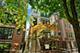2145 W Crystal Unit 2, Chicago, IL 60622