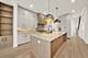 2248 W Ainslie, Chicago, IL 60625