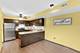 1087 E Cottonwood, Palatine, IL 60074