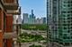 1250 S Indiana Unit 1204, Chicago, IL 60605